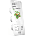 Miniatyrbillede 3 af 4: Click & Grow Smart Garden refill Wild Strawberry 3pcs