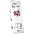 Miniatyrbilde 3 av 3: Click & Grow Smart Garden refill Busy Lizzie 3pcs