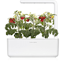 Miniatyrbillede 2 af 4: Click & Grow Smart Garden refill Mini Tomato 3pcs