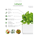Miniatyrbilde 3 av 3: Click & Grow Smart Garden refill Lettuce 3pcs