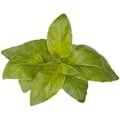 Miniatyrbilde 3 av 3: Click & Grow Smart Garden refill Lime Basil 3pcs