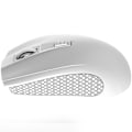 Pikkukuva 4 / 6: CANYON MW-7, 2.4Ghz wireless mouse, 6 buttons, DPI 800/1200/1600, with 1 AA battery ,size 110*60*37mm,58g,white