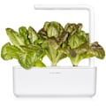 Miniatyrbilde 4 av 4: Click & Grow Smart Refill Red romaine lettuce 3pcs