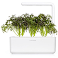 Miniatyrbillede 1 af 4: Click & Grow Smart Garden refill Red Frill Mustard 3pcs