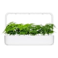 Miniatyrbilde 5 av 5: Click & Grow Smart Refill Feather spar 3pcs