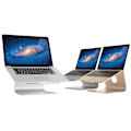 Pikkukuva 1 / 6: Laptop Stand Rain Design mStand, Silver