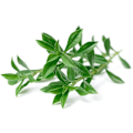 Miniatyrbilde 3 av 3: Click & Grow Smart Garden refill Mountain Savory 3pcs
