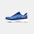 Miniatyrbillede 3 af 5: Under Armour Infinite Pro Løbesko  EU 43 Mand