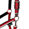 Pikkukuva 3 / 5: Equestro White Trim Riimu Ja Talutin  Coby