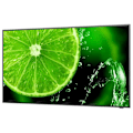 Miniatyrbillede 1 af 8: Nec Overvåge E498 350cd/qm 32´´ 4k Led Lcd Grøn One Size / EU Plug