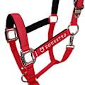 Pikkukuva 2 / 7: Equestro Riimu Ja Lyijy Shiny Fittings  Cob