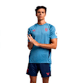 Pikkukuva 1 / 5: Castore Sevilla Fc 24/25 Pro Players Lyhythihainen Treenipaita  M