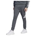 Miniatyrbild 1 av 6: Adidas Byxor Essentials Fleece Tapered Cuff Big Logo Joggers Grå XS / Regular Man