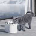 Pikkukuva 5 / 5: Petkit Filter Unit Rect For Eversweet Max Only Langaton Vesipumppu Vaihdettava 5 Yksiköt