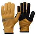 Miniatyrbillede 2 af 3: Black Diamond Everyday Softshell Handsker Gul XL Mand