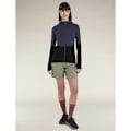 Miniatyrbillede 3 af 3: Icebreaker Merino 200 Realfleece Descender Sweatshirt Med Lynlås Grå M Kvinde
