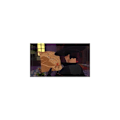 Miniatyrbillede 9 af 9: Nacon Xbox Series X El Zorro The Chronicles Søvfarvet PAL