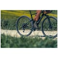 Miniatyrbild 8 av 9: Northwave Hammer Plus Mtb-skor Grönt EU 43 Man
