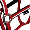 Pikkukuva 2 / 5: Equestro White Trim Riimu Ja Talutin  Pony