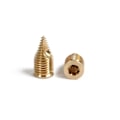 Miniatyrbillede 4 af 4: Pike N Bass 50 Inserts Brass Autopercant M6 Gylden M6