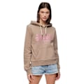 Miniatyrbillede 1 af 6: Superdry Metallic Vl Graphic Hættetrøje Beige S Kvinde