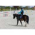 Miniatyrbillede 2 af 3: Equitheme Sikkerhedsvest Mesh Sort S