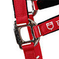 Pikkukuva 4 / 7: Equestro Riimu Ja Lyijy Shiny Fittings  Full