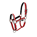 Pikkukuva 1 / 5: Equestro White Trim Riimu Ja Talutin  Full