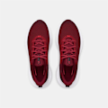 Miniatyrbillede 5 af 5: Under Armour Infinite Løbesko  EU 42 1/2 Mand