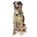 Pikkukuva 3 / 5: Fuzzyard Active Valjaat Go Beige M