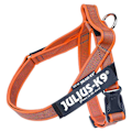 Pikkukuva 2 / 3: Julius K-9 Norjalainen Valjaat Idc Oranssi 2XL-3