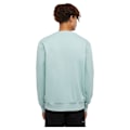 Miniatyrbillede 1 af 6: Dickies Script Sweatshirt Blå L Mand