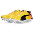 Miniatyrbillede 1 af 6: Puma Spore Sko Evospeed Electric 13 Gul EU 43 Mand