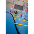 Miniatyrbillede 3 af 6: Powershot Combinable Stige Flerfarvet 4 x 2m
