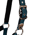 Pikkukuva 5 / 7: Equestro Shiny Fittings Riimu Ja Talutin Sininen Pony