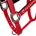 Pikkukuva 7 / 7: Equestro Riimu Ja Lyijy Shiny Fittings  Cob