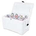 Miniatyrbild 5 av 6: Igloo Coolers Styv Bärbar Kylare Contour 70 66l Durchsichtig