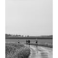 Miniatyrbillede 4 af 4: Poc Signal All-weather Jakke Sort M Mand