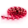Pikkukuva 2 / 5: Konix Värit Led-valonauha Aurora 16 5 M Hopeinen