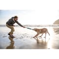 Pikkukuva 7 / 7: Ruffwear Pacific Loop™ Monivärinen