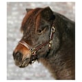 Miniatyrbild 2 av 2: Star Grimma Leather Diamond Guld Full