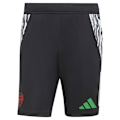 Miniatyrbillede 3 af 6: Adidas Arsenal Fc 24/25 Tiro Træningsshorts  L