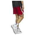 Pikkukuva 2 / 6: Adidas Shortsit Paris 23/24 Icon Squad Punainen M / Regular Mies