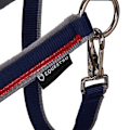 Pikkukuva 4 / 6: Equestro Red Trim Riimu Ja Talutin  Coby