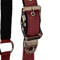 Pikkukuva 3 / 7: Equestro Riimu Ja Lyijy Shiny Fittings  Cob