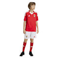 Miniatyrbillede 1 af 6: Adidas Benfica Lisboa 24/25 Shorts Hjem  15-16 Years