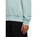 Miniatyrbillede 6 af 6: Dickies Script Sweatshirt Blå L Mand