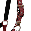 Pikkukuva 5 / 7: Equestro Riimu Ja Lyijy Shiny Fittings  Full
