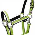 Pikkukuva 2 / 5: Equestro White Trim Riimu Ja Talutin  Coby