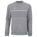 Miniatyrbillede 2 af 3: Tecnifibre Sweatshirt Team Grå L Mand